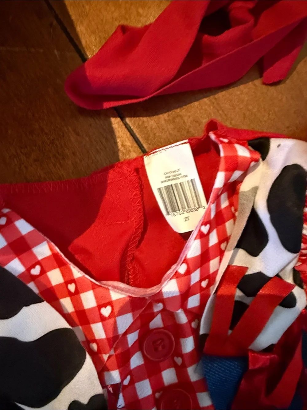 Kids Red Cowgirl Costume Dress with Hat and Scarf - NWT - 2T